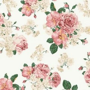 Meet your Posher, Maecy